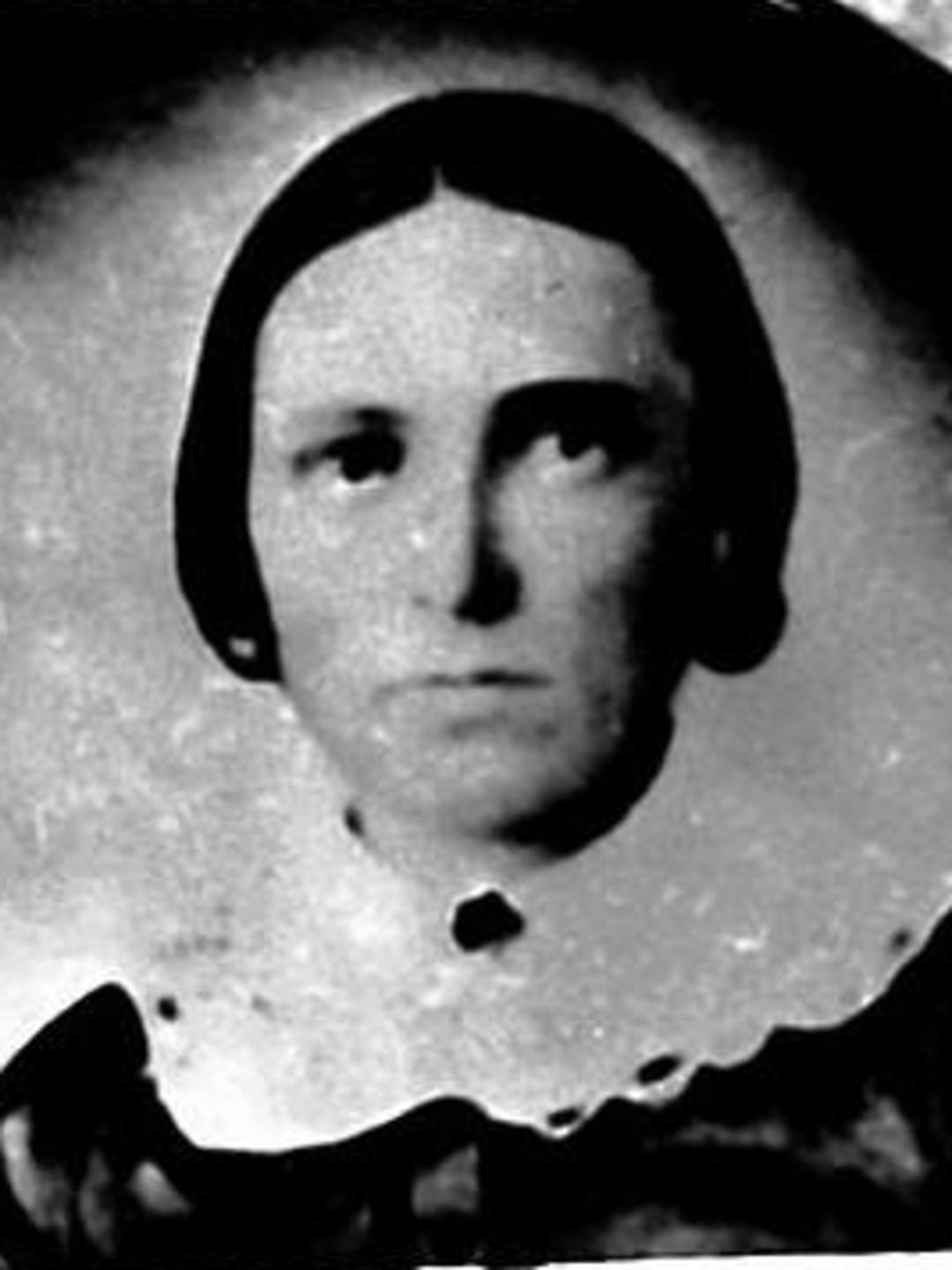 Agnes Myrtle Millross (1836 - 1914) Profile